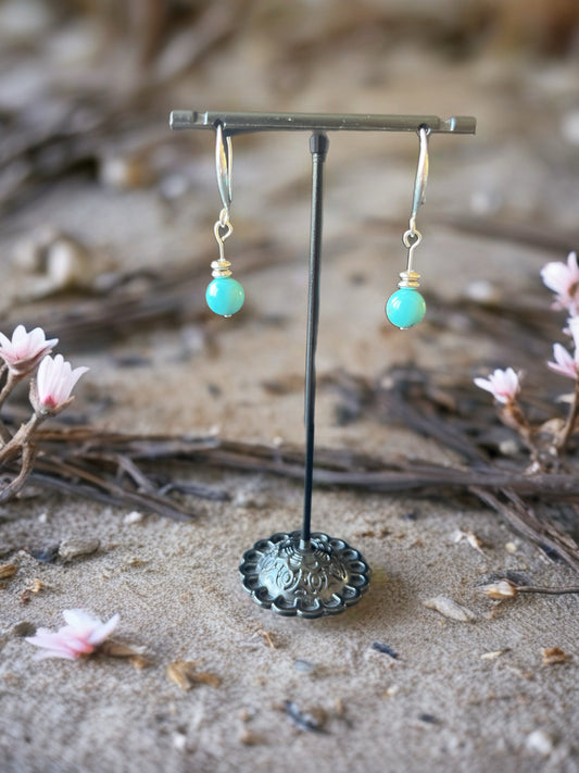 Turquoise Jasper earrings